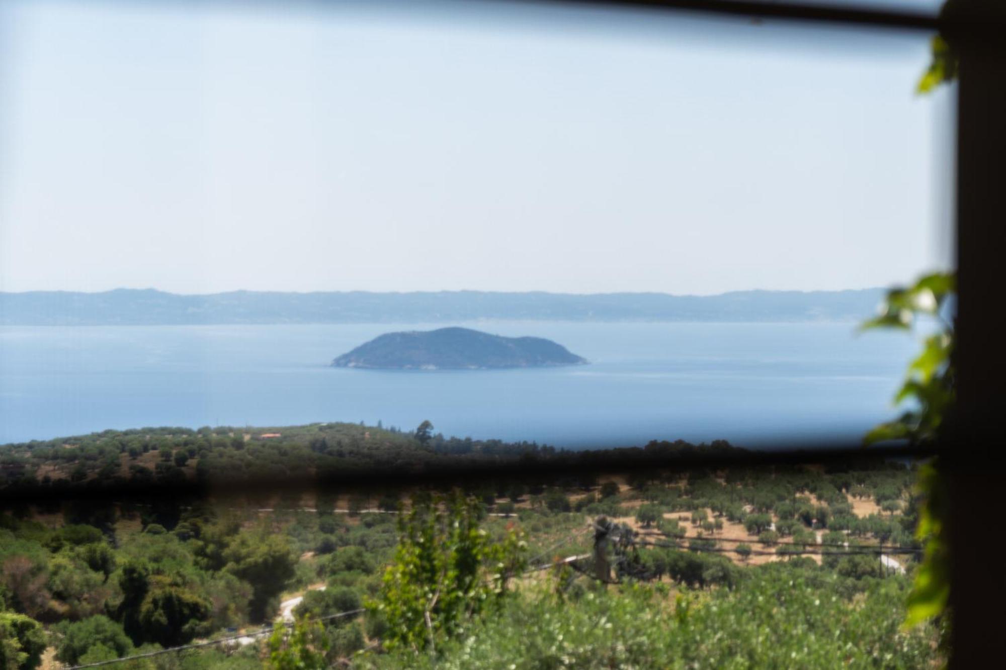 Oreiades Guesthouse Parthenón エクステリア 写真